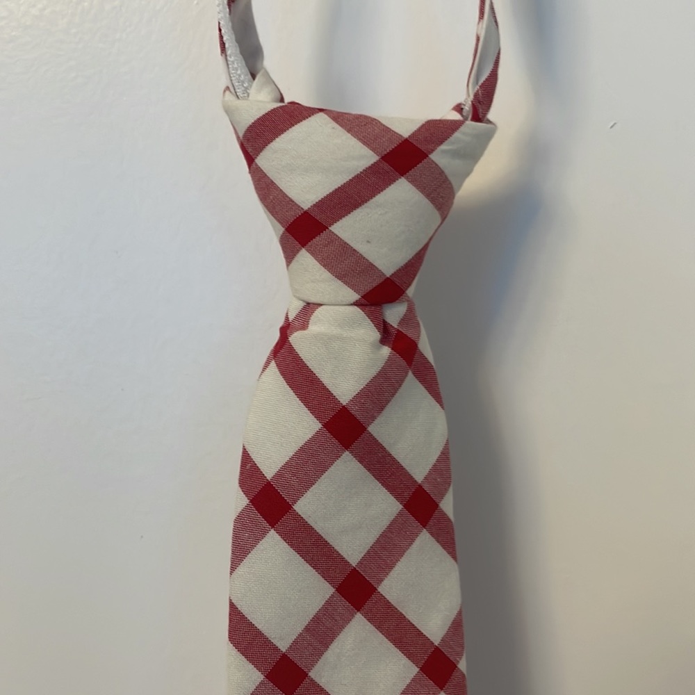 J. Crew Red and White Check Cotton Pre-Made Tie
